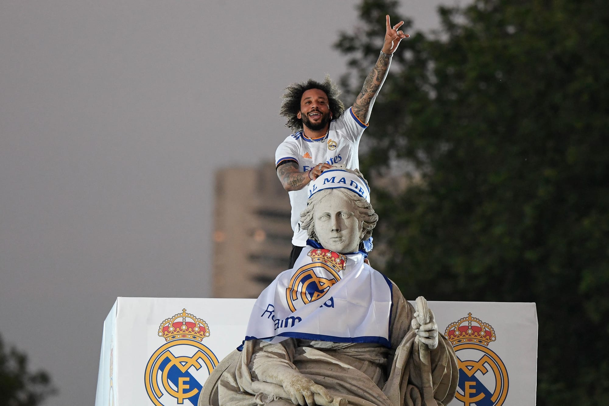 應儘快展開 應儘快展開